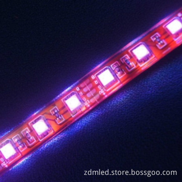 Waterproof SMD 5050 RGB kitchen led strip light